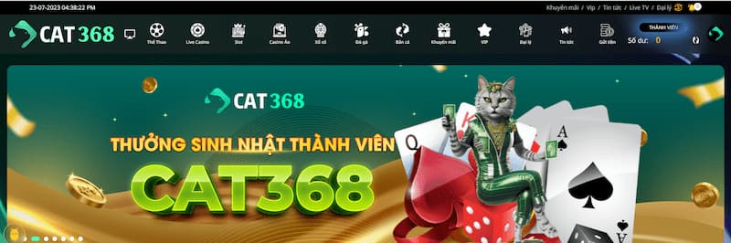 Cat368 Cat368